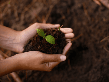 Pojištění zemědělské